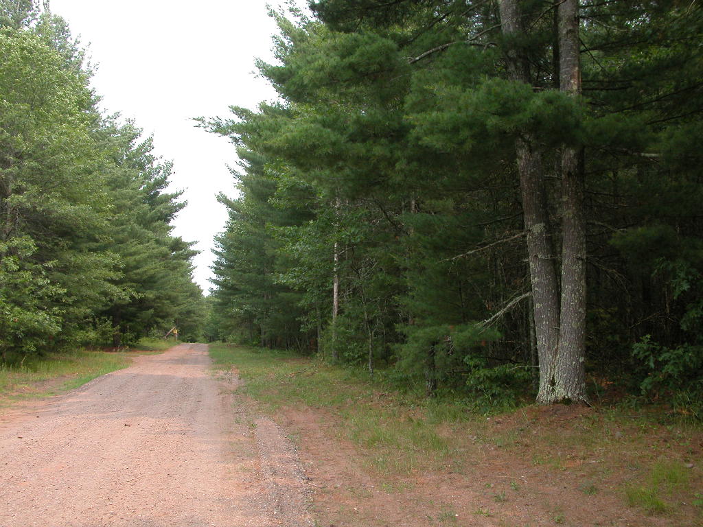 Hunting land for sale, in Wisconsin wooded wild land or acreage