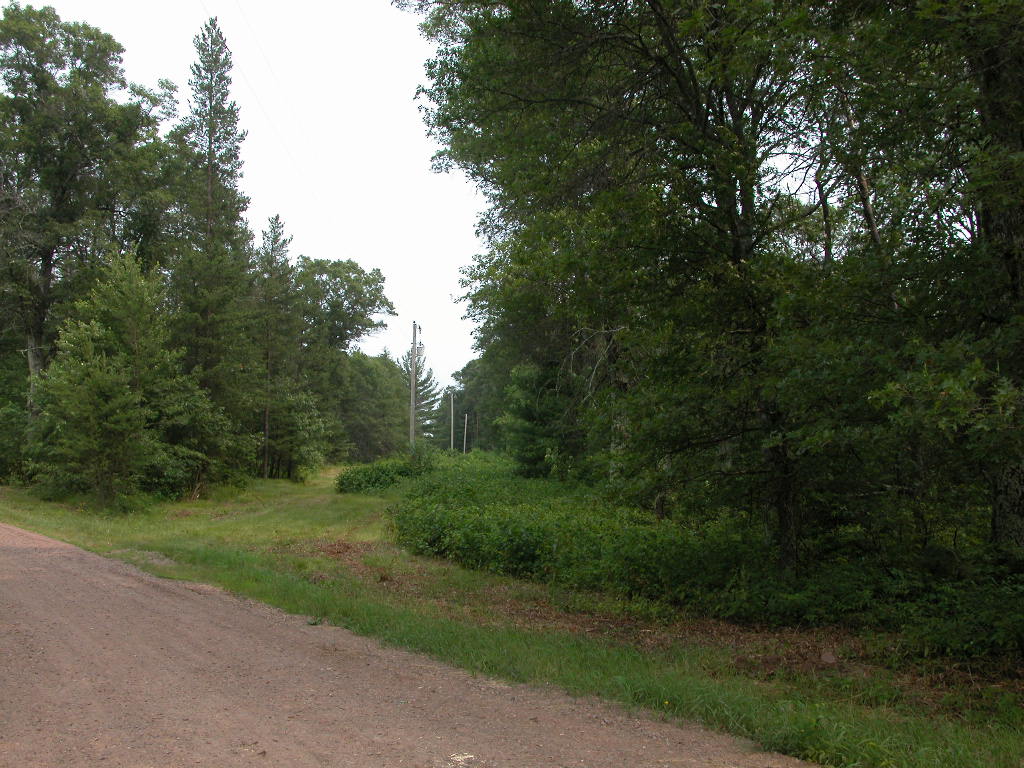 Hunting land for sale, in Wisconsin wooded wild land or acreage