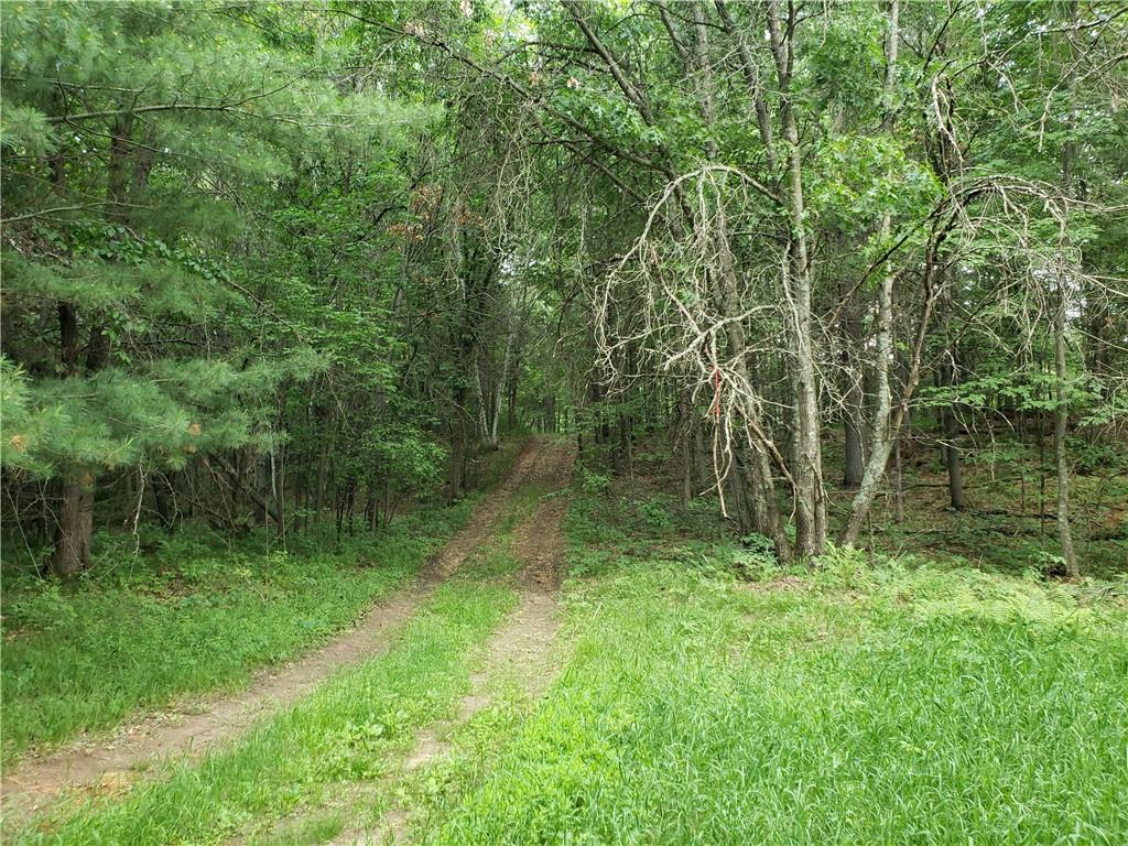 Hunting land for sale, in Wisconsin wooded wild land or acreage